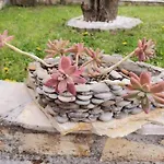 House Niksi